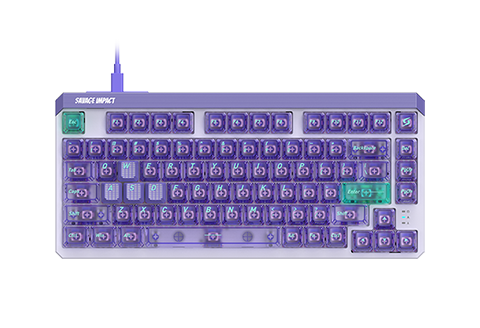 AM8Q
